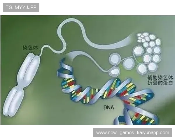 青训选材技术指标引入人工智能辅助评估
